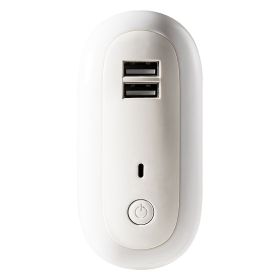 Oval Small Night Lamp With Dual USB Charging Port Remote Control Timing Plug-in Wall (Option: 1W-Dual Usb-220V US)